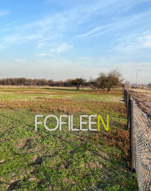 Venta Terreno 7.000m2 Batuco